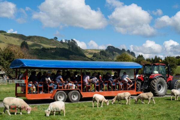 Agrodome Rotorua New Zealand.